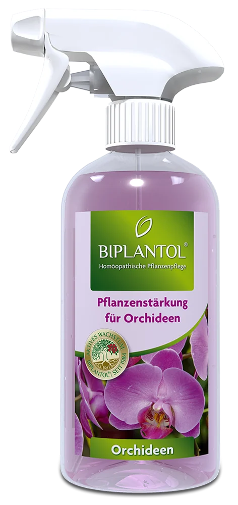 BIPLANTOL Orchideen